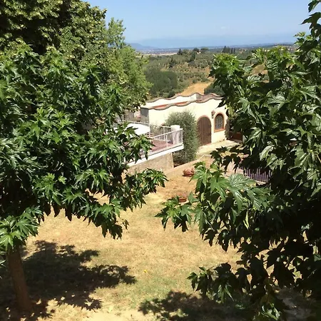 בית הארחה Cinzia's House Terricciola
